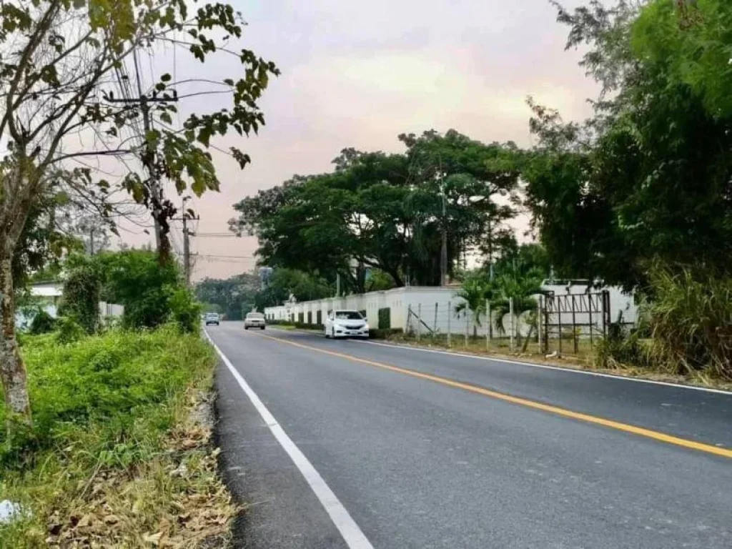 ขายที่ดินติดถนนห่างโรงเรียนนานาชาติลานนาเพียง 180 เมตร