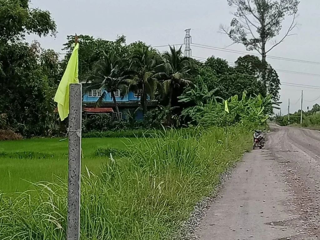 ที่ดินโฉนด 300 ตรวา หลังติดคลอง อยู่ห่างฟิวเจอร์รังสิต75กม