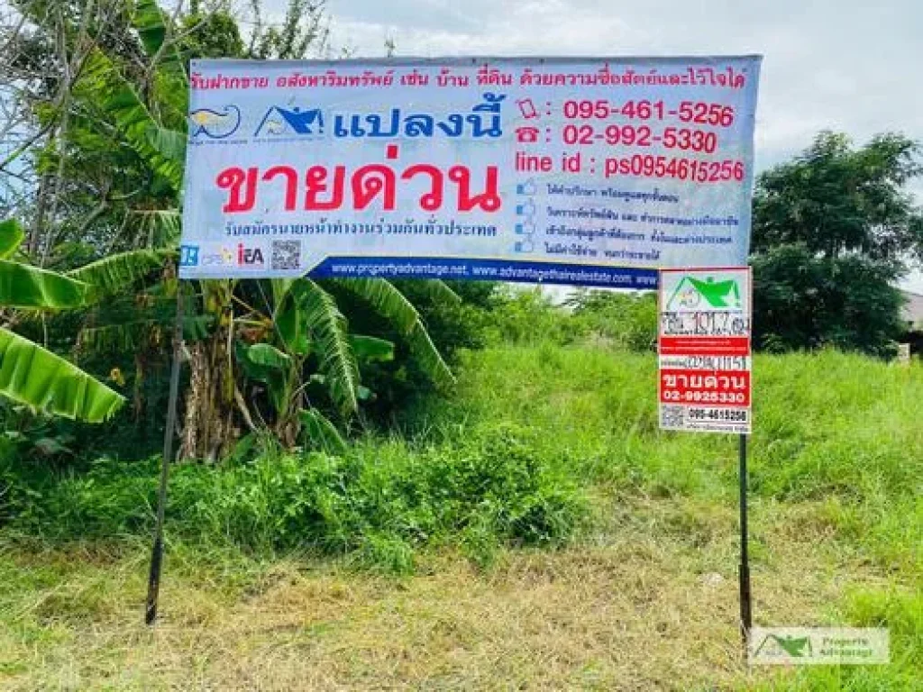 ที่ดินเปล่า 1012 ตรว ตประจวบคีรีขันธ์ อเมือง จประจวบคีรีขันธ์