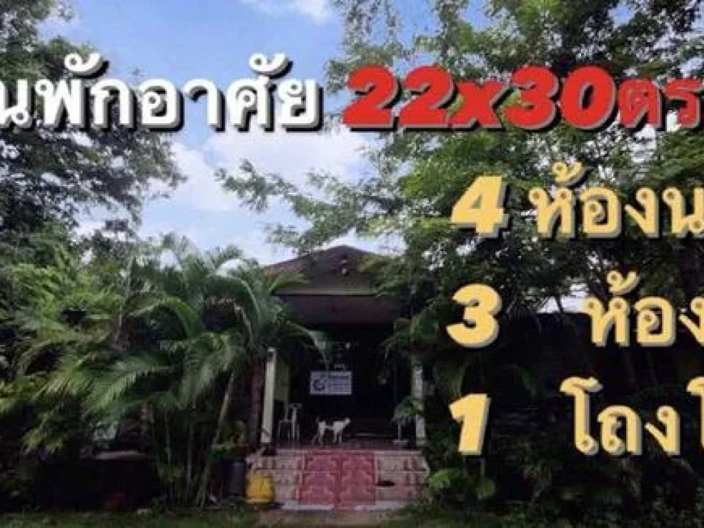 ขายที่ดินพร้อมสิ่งปลูกสร้าง จอุบลฯ อม่วงสามสิบ 7 ไร่ 1 งาน 33 ตรวา บ้านพักอาศัยพร้อมอยู่