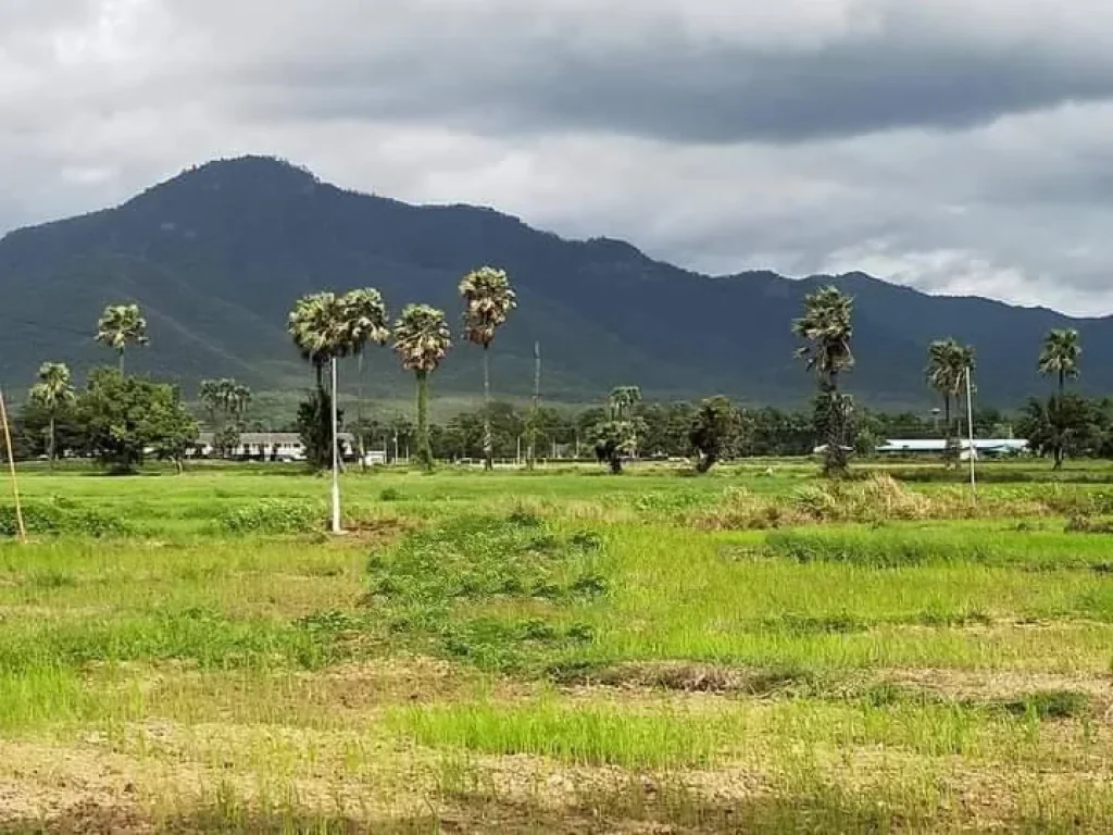 ขายที่ดินติดถนนค้าขายได้ ออนใต้ สันกำแพง