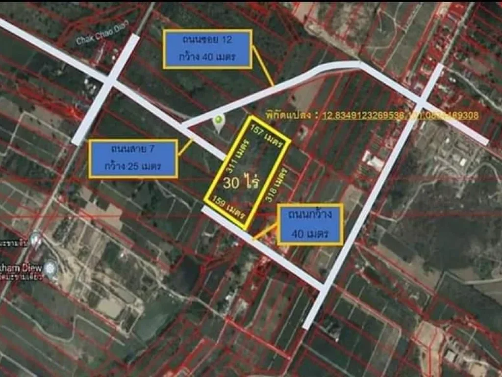 Ps150 หากันจังผังม่วงลายถูกๆ แปลงนี้30ไร่ๆ1ล้าน