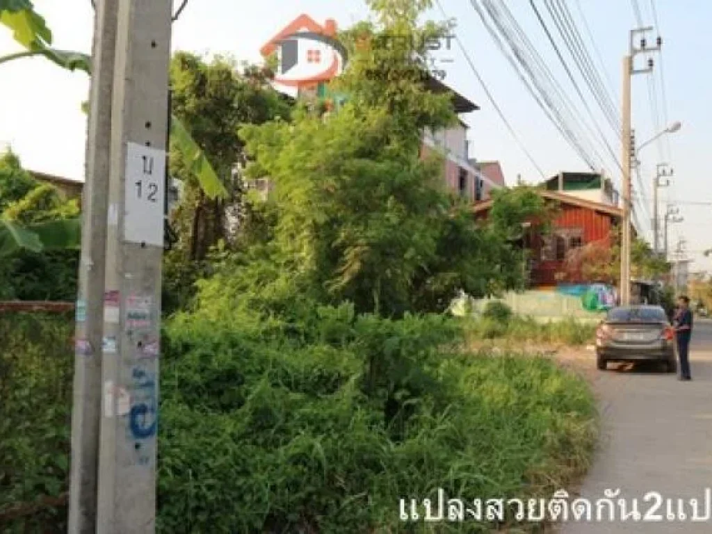 เหมาะสำหรับปลูกบ้านพักอาศัยหรือทำห้องเช่า