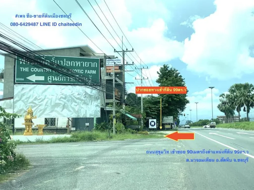 ขายที่ดินใกล้ทะเล นาจอมเทียน เหมาะปลูกบ้าน เนื้อที่ 99ตรว