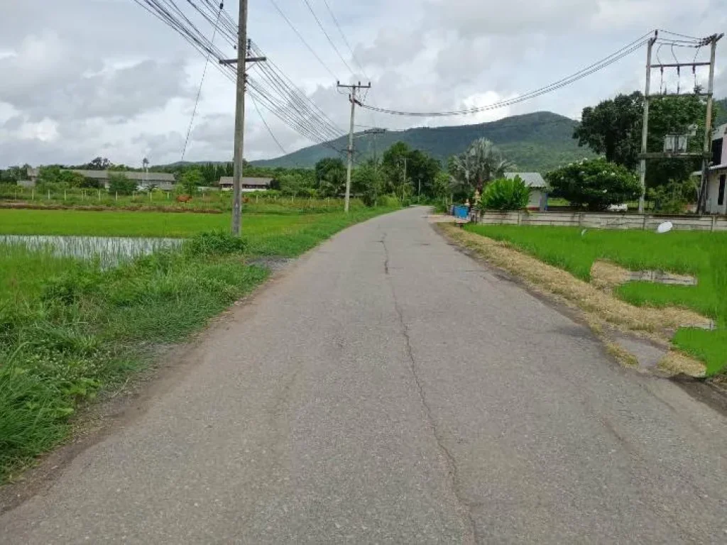 ขายที่ดินร้องวัวแดง วิวดอย ทุ่งนา ติดถนนคอนกรีต