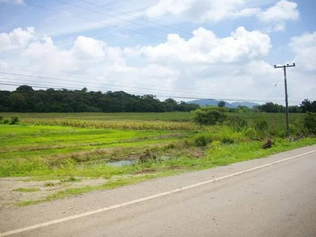 ขายที่ดิน128ไร่นส3กติดถนนลาดยางตศิลาทิพย์ อชัยบาดาล จลพบุรี