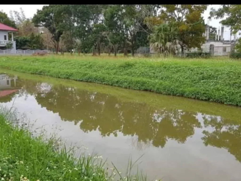 ขายที่ดินดอยสะเก็ต เชิงดอยติดคลองน้ำในโครงการจัดสรร