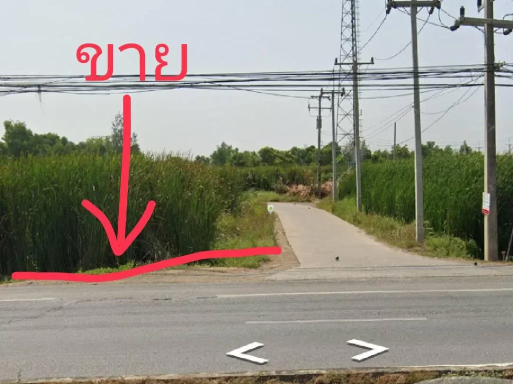 ขายที่ดินติดถนนพหลโยธิน ตชะแมบ วัวน้อย อยุธยา เนื้อที่ 119 วา