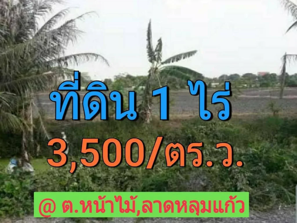 ขายที่ดินตำบลหน้าไม้ 1 ไร่ ซอยแม่เอี่ยมใบชา อำเภอ ลาดหลุมแก้ว จังหวัด ปทุมธานี