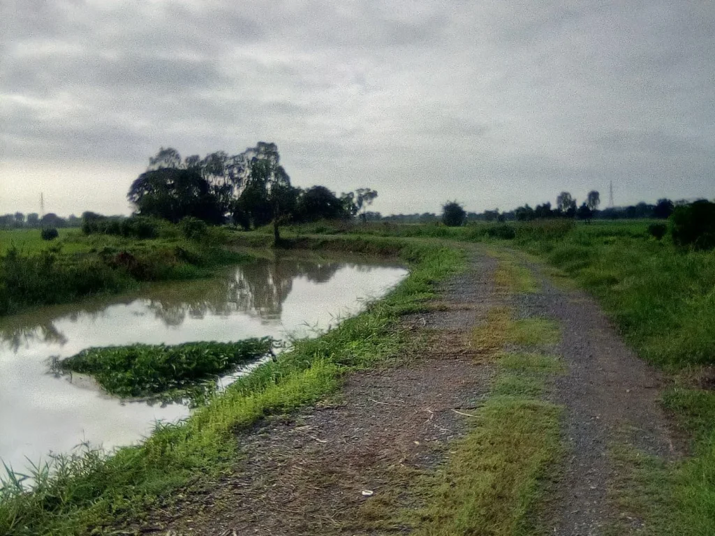 ขายที่ดินทำเลดีราคาถูก ย่านวิหารแดง สระบุรี ติดถนนและคลองส่งน้ำ