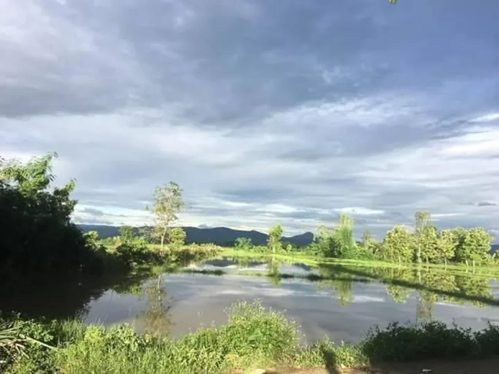 ขายที่ดินแม่ปูคาห่างถนนหลักเพียง 900 เมตร