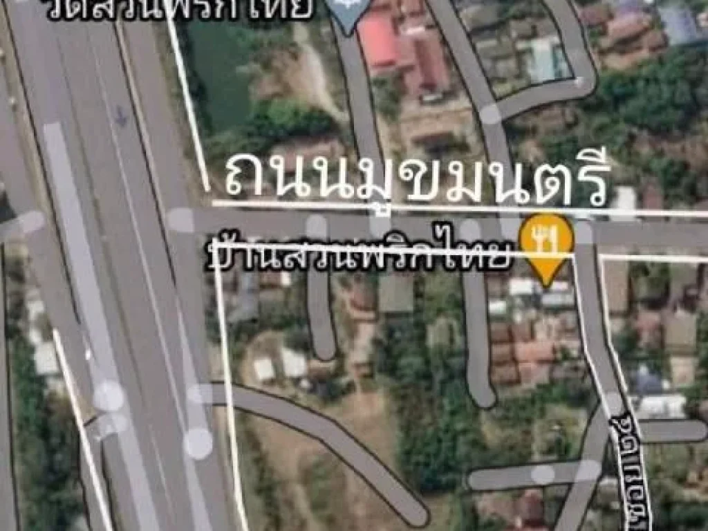 ขายที่ดินไม่แพง 88ตรวเหมาะสร้างบ้าน ตปรุใหญ่ ไกล้บายพาสหน้าวัดสวนพริกไทยติดเมือง