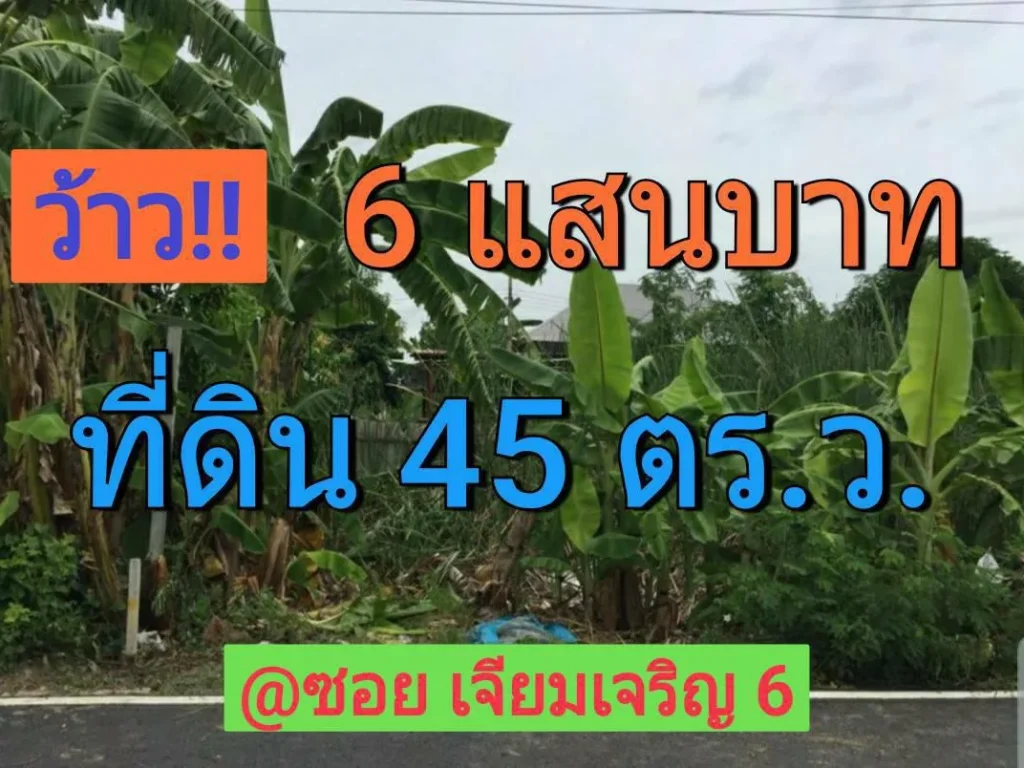 ขายที่ดินบางคูรัด 45 ตารางวา ซอยเจียมเจริญ 6 ตำบลบางคูรัด อำเภอบางบัวทอง จังหวัดนนทบุรี