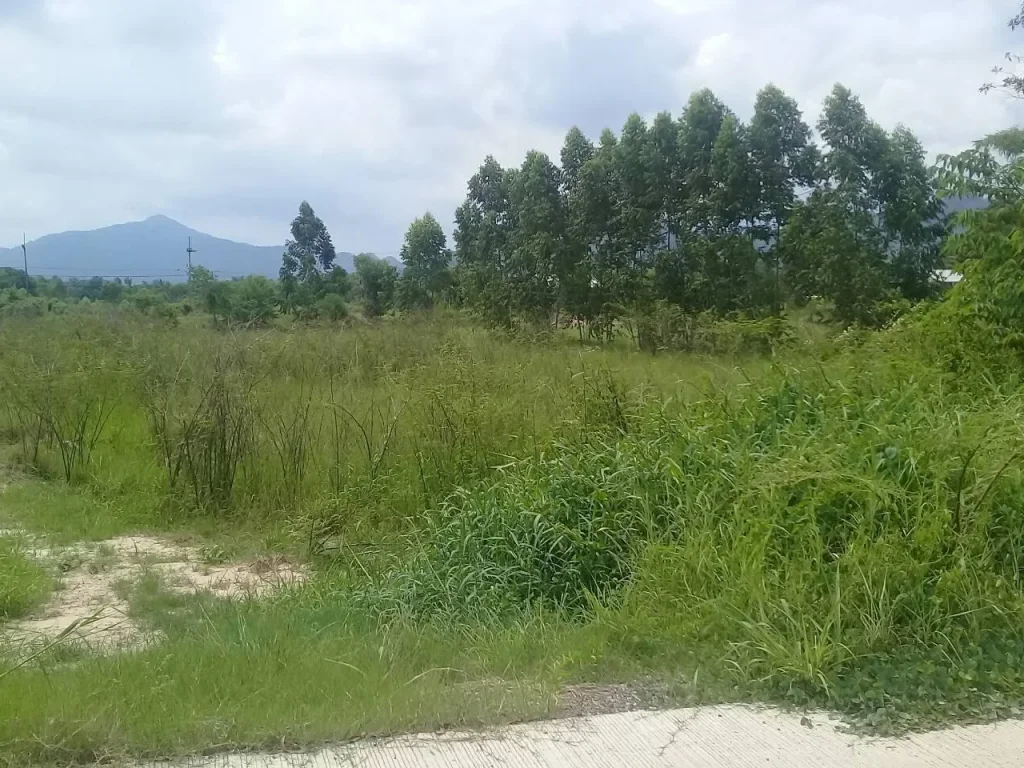 ที่ดิน สวย ติดถนนลาดยาง ชนบท วิวเขา มีเเปลงถมดิน-ยังไม่ถม