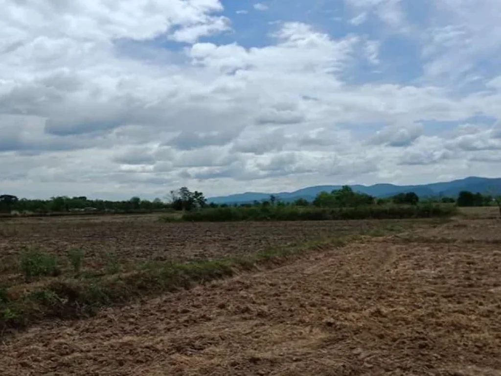 ขายที่ดินในบ้านหนองเก้าห้อง ราคาขาย 270000 บาท