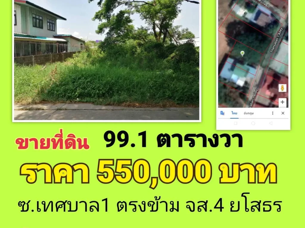 ขายที่ดินในเมืองยโสธร 991 ตารางวา