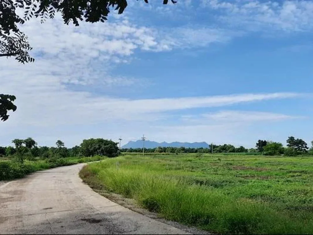 ที่ดิน3ไร่โฉนดติดถนนคอนกรีต มีไฟฟ้า ประปาพร้อม ตหนองรี อลำสนธิ จลพบุรี