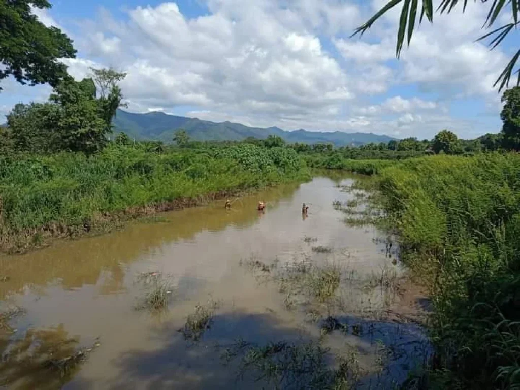 ขายบ้านติดน้ำแม่วาง ห่างโรงพยาบาล 25 km