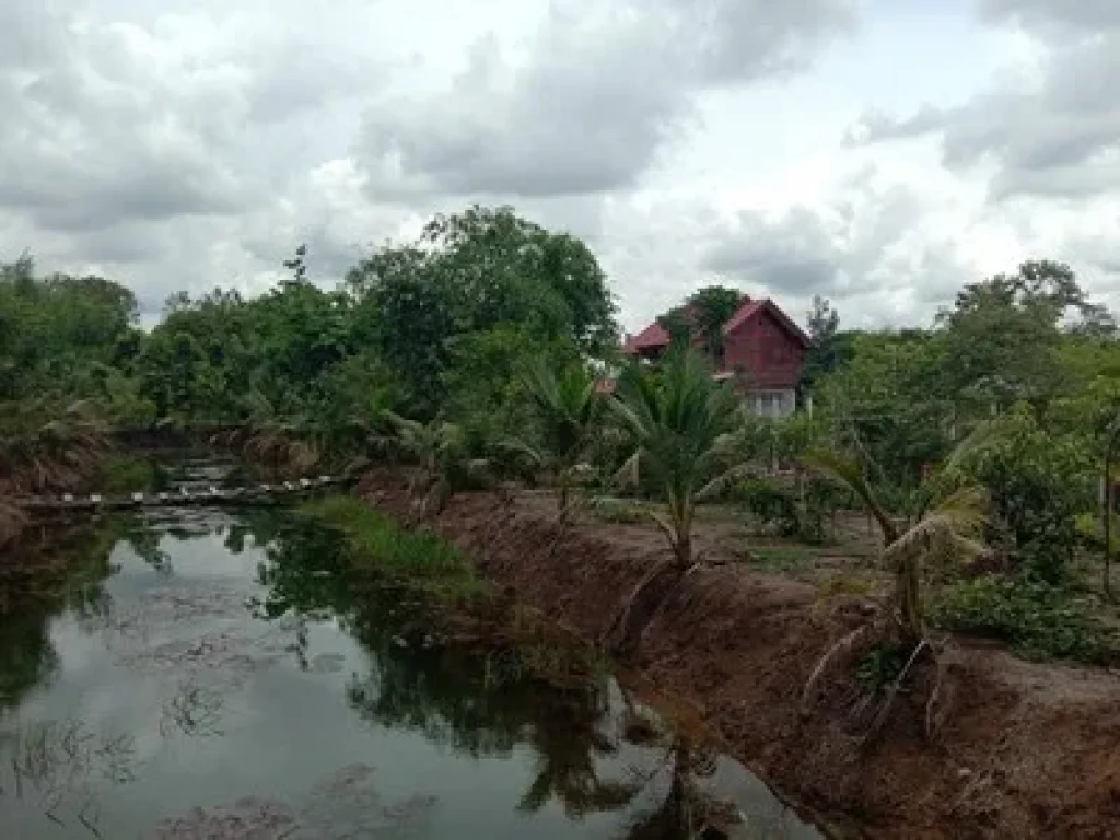 ขายที่ดินพร้อมบ้านสวน คลอง 16 องค์รักษ์ ขนาด 1 ไร่กว่าๆ เป็นบ้านสวนทำการเกษตร เหมาะอยู่ในยามเกษียณ