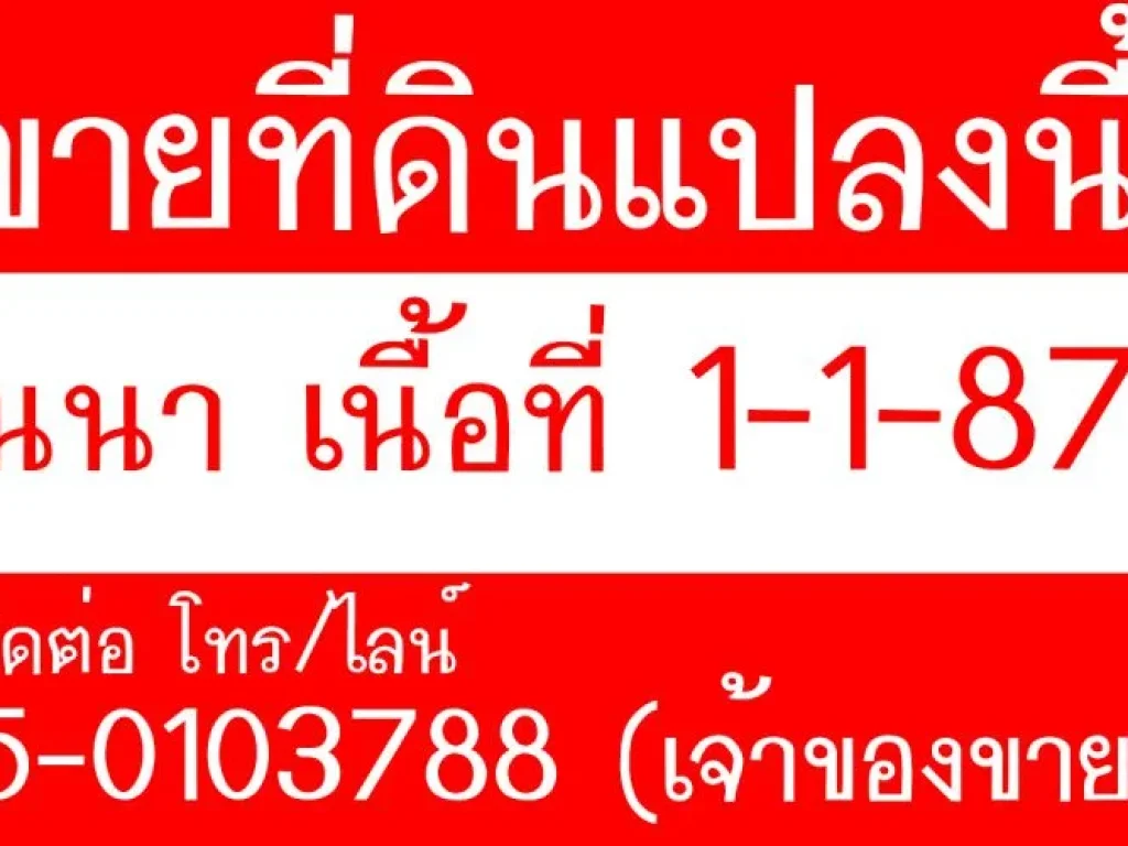 ด่วน ขายที่ดินโฉนด โปรโมชั่นพิเศษ เฉพาะช่วงนี้เท่านั้น เนื้อที่ 1 ไร่ครึ่ง ใกล้ปตทนางั่ว เพชรบูรณ์