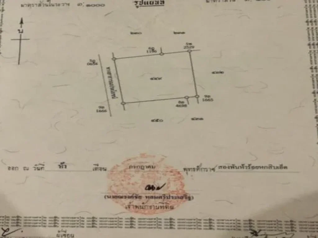 ขายที่ดิน 240 ตรว ในตัว มบฐิติวัฒน์ จอหอ ใกล้แหล่งความเจริญ ใกล้ถนน 204