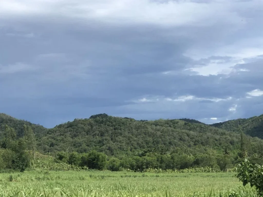 ที่ดิน 2 ไร่ สวนเกษตรเต็ม ระบบสปริงเกอร์ น้ำไฟฟ้าพร้อม