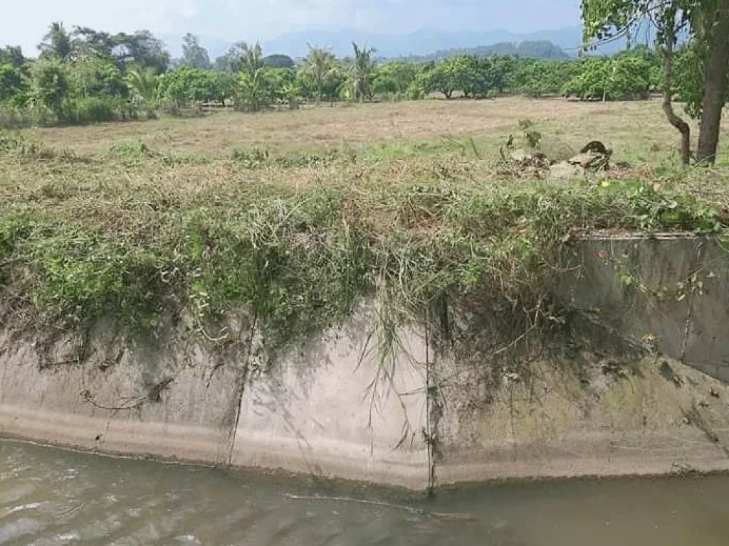 ขายที่ดินติดคลองชลประทานน้ำบ่อหลวง สันป่าตอง ราคาถูก