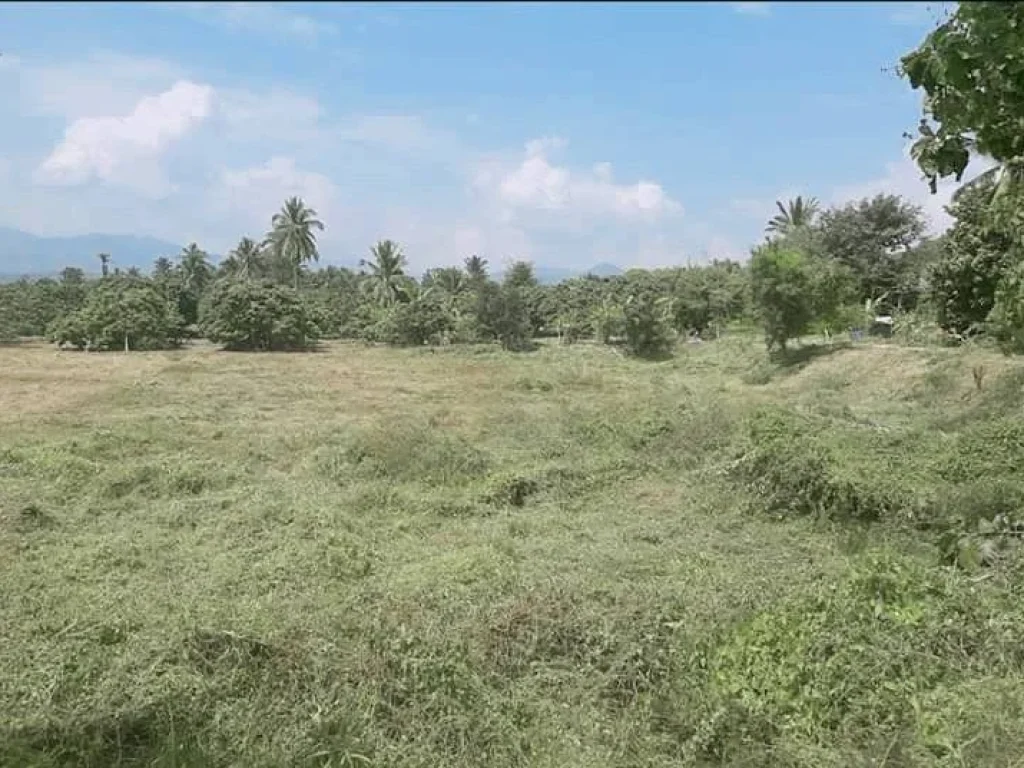 ขายที่ดินติดคลองชลประทานน้ำบ่อหลวง สันป่าตอง ราคาถูก