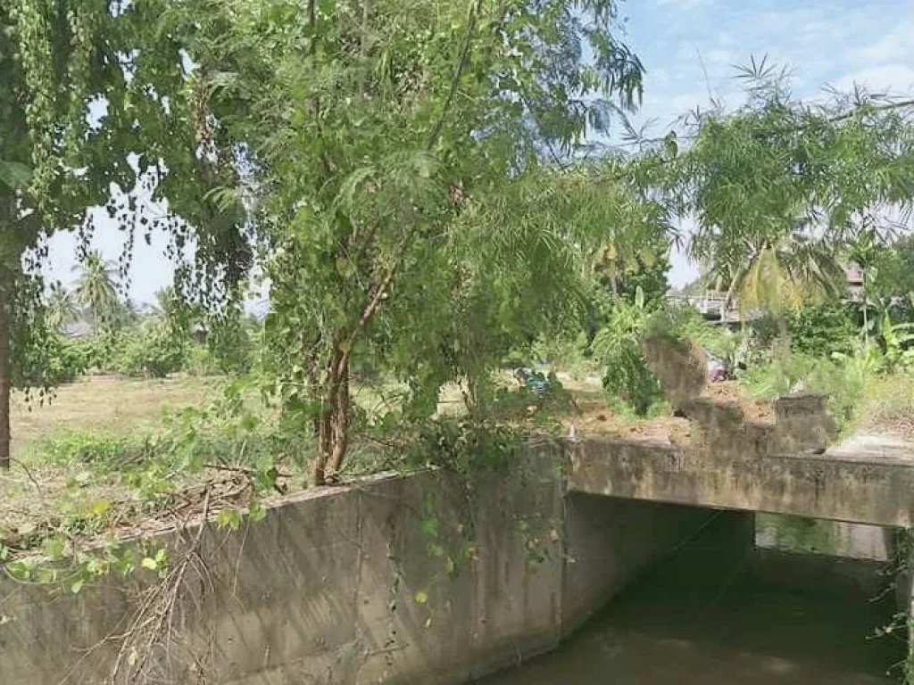 ขายที่ดินติดคลองชลประทานน้ำบ่อหลวง สันป่าตอง ราคาถูก