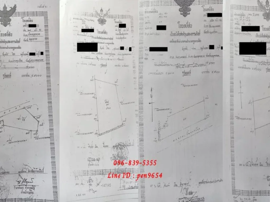 ขายที่ดิน พันท้ายนรสิงห์ 124 ไร่กว่า