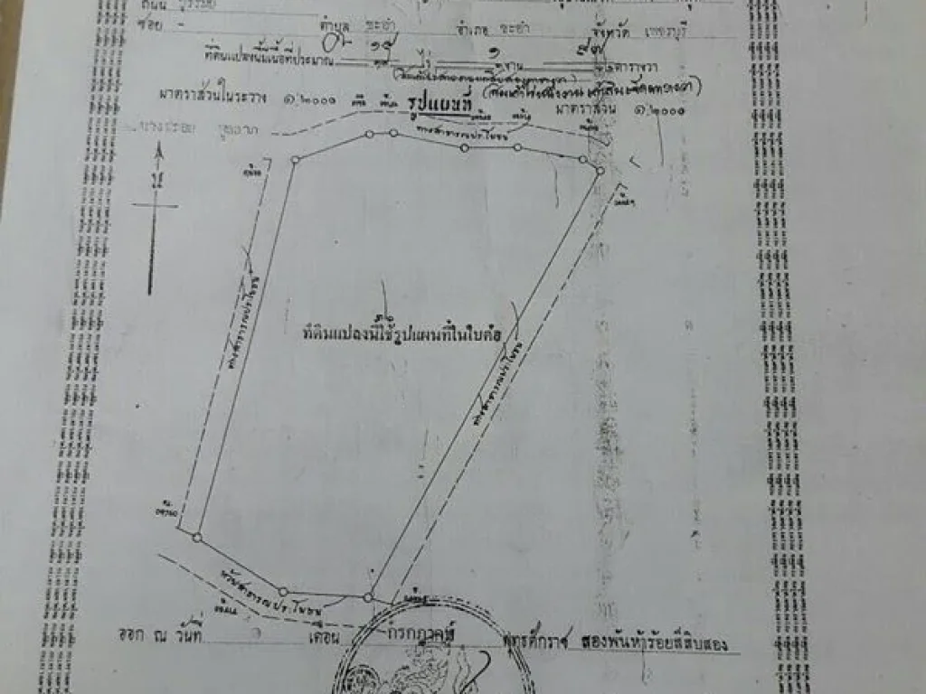 ขายที่ดินเปล่า 19-1-97 ไร่ ชะอำ-หัวหิน ที่ดินรวม 2 โฉนด รวมกันเป็นแปลงใหญ่