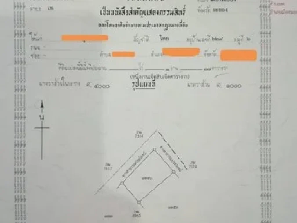 ขายบ้านสไตล์ฝรั่ง ทำเลดี ขนาดเนื้อที่ 177 ตรว