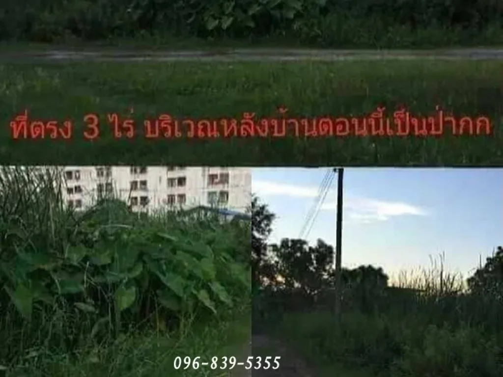 ขายที่ดิน 3ไร่ 156 ตรวพื้นที่สีชมพู