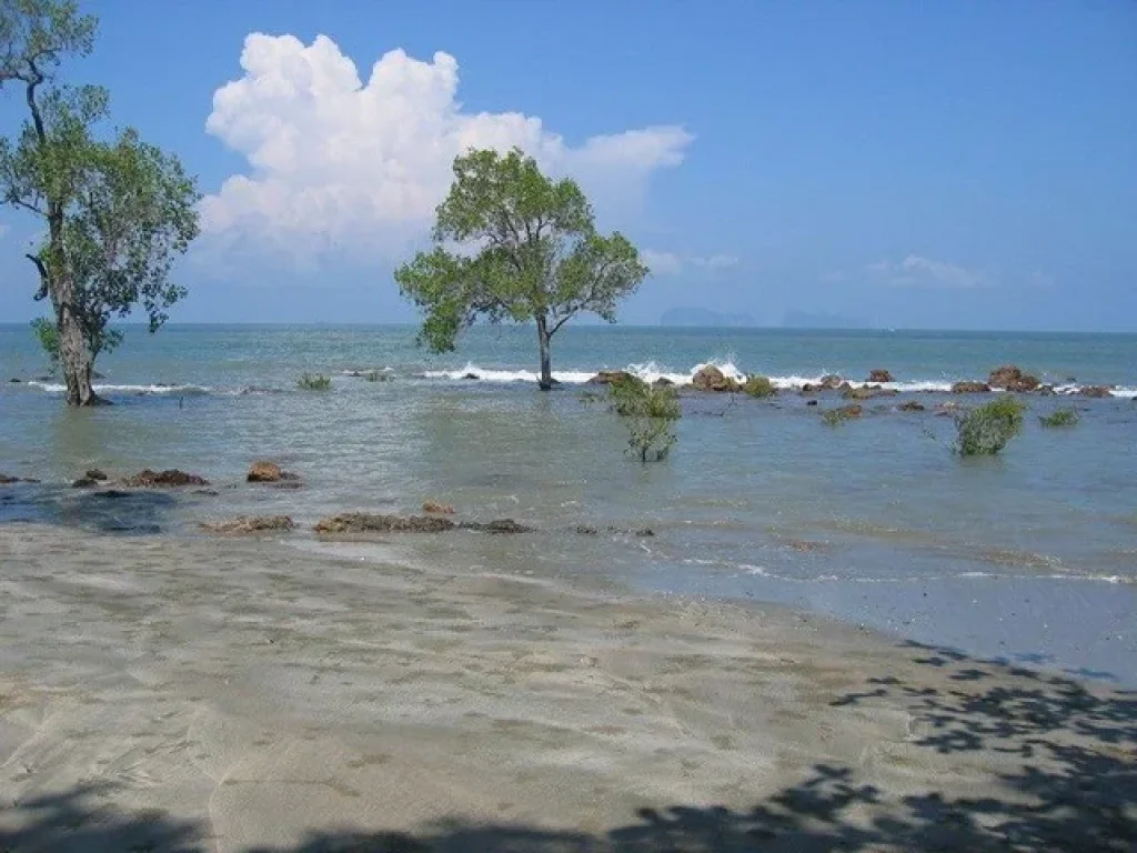 ขายที่ดินริมหาดเกาะปอ อำเภอเกาะลันตา กระบี่ ใกล้เกาะลันตาใหญ่ เนื้อที่ 3- 3-4 ไร่