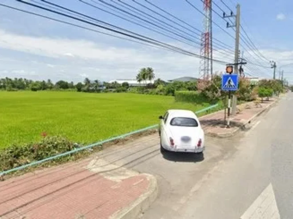 Land For Sale ที่ดิน 3 ไร่ พื้นที่สีชมพู ติดถนนใหญ่นครชัยศรี ทำเลดี