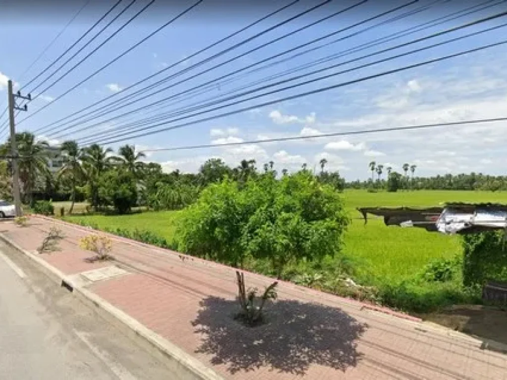 Land For Sale ที่ดิน 3 ไร่ พื้นที่สีชมพู ติดถนนใหญ่นครชัยศรี ทำเลดี