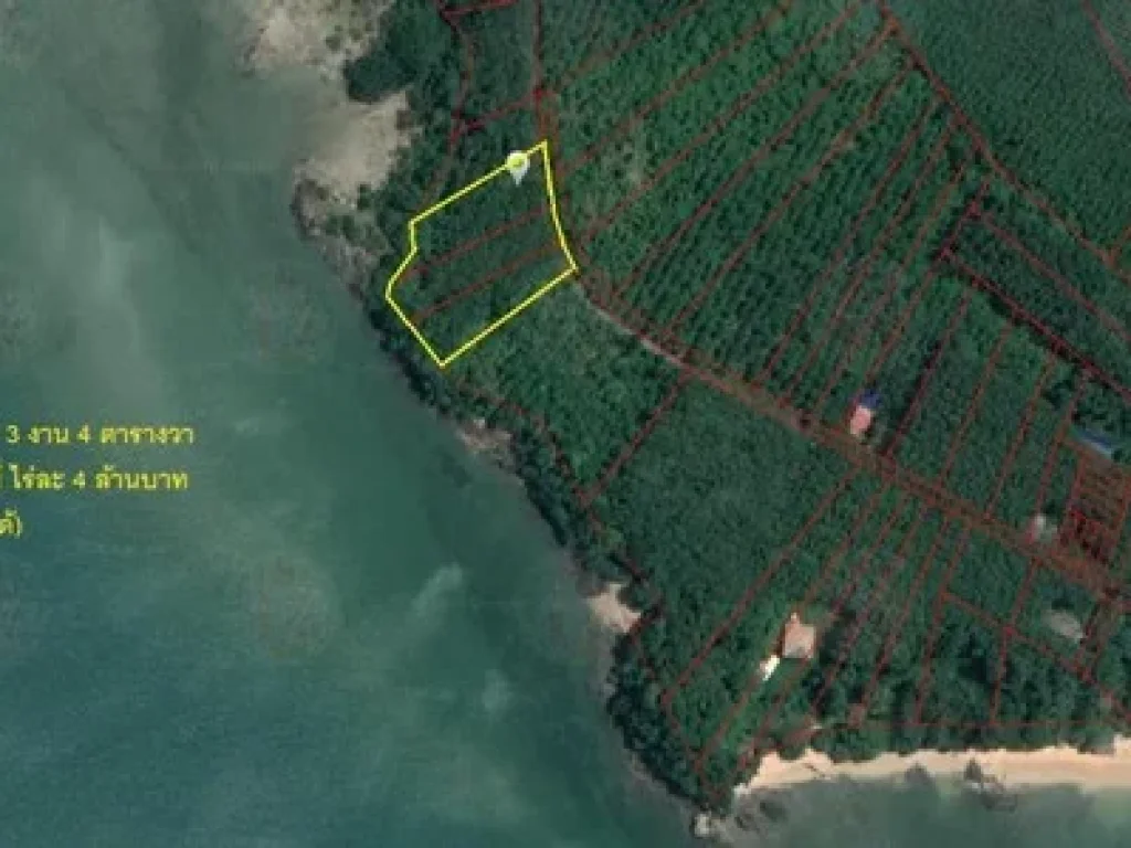 Land For Sale ที่ดินบนเกาะ ติดทะเล ริมหาดเกาะปอ กระบี่