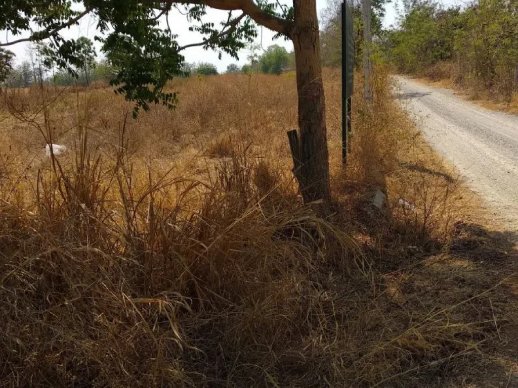 ที่ดินวิวภูเขา อากาศดี ใกล้มายโอโซน-เขาใหญ่ ขับรุถ 2 ชมจากกรุงเทพฯ