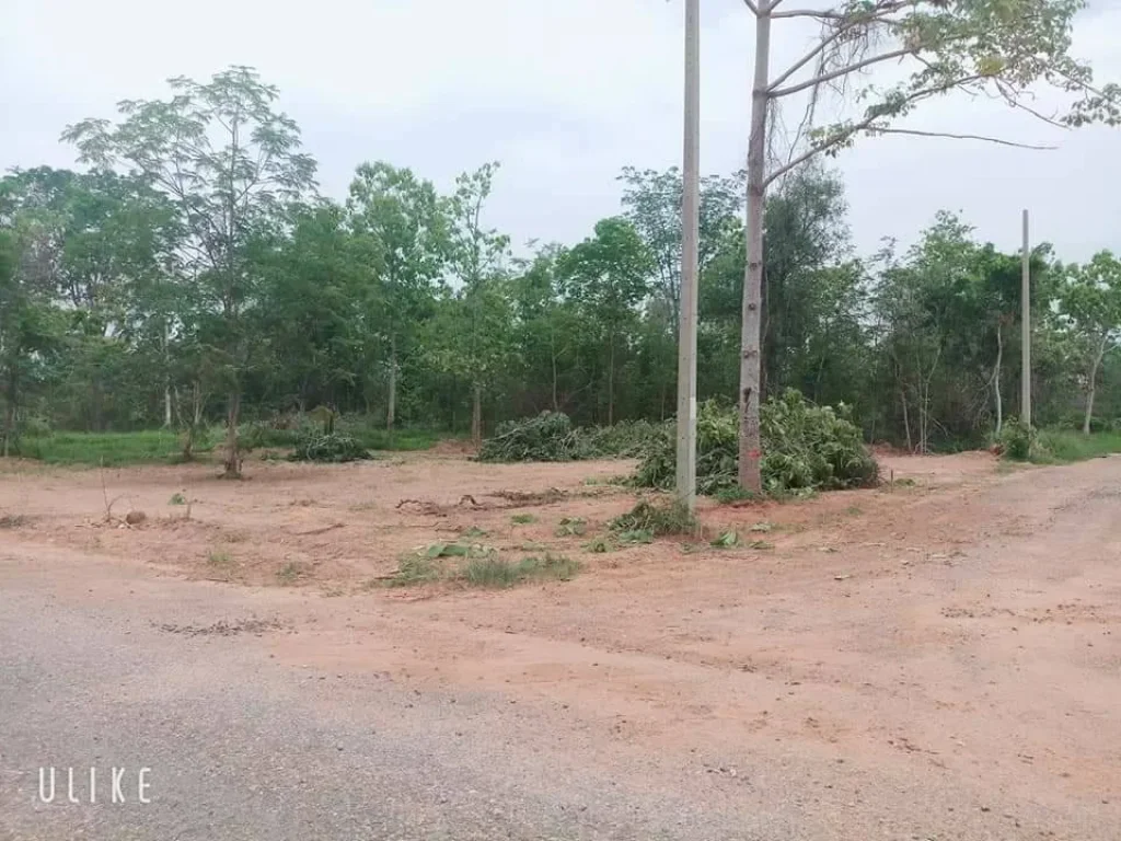 ขายที่ดินจัดสรร สวย ถูกๆๆ มทสประตู 1 มี 2แปลง ขนาด 60 ตรว และ 120 ตรว