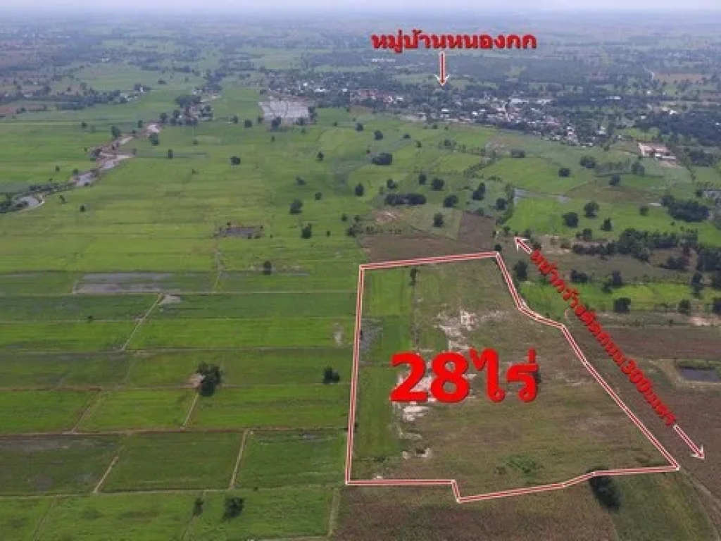 ขายถูก ที่ดิน 28 ไร่ 3 งาน บ้านหนองกก ห่างจากตัวอำเภอสีคิ้ว 14 กม เหมาะทำไร่