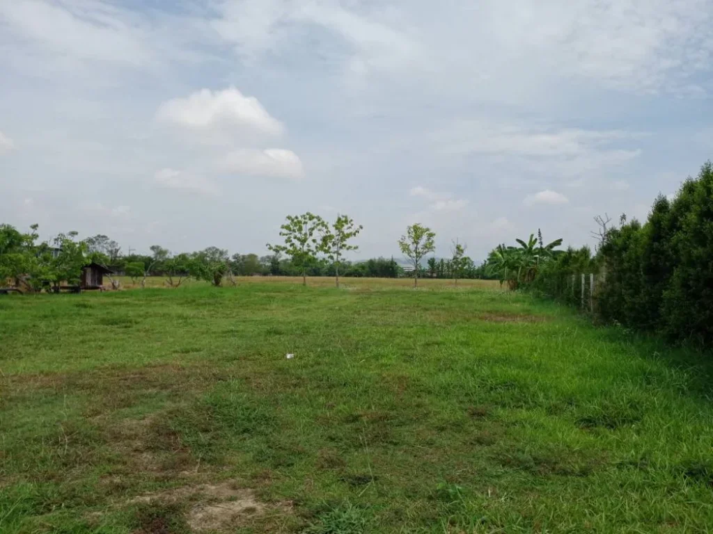 ขายที่ดินข้างกุลพันธ์ 9 บ้านแหวนหางดง ราคาถูก