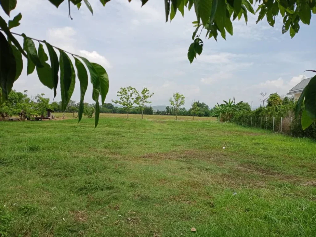 ขายที่ดินข้างกุลพันธ์ 9 บ้านแหวนหางดง ราคาถูก