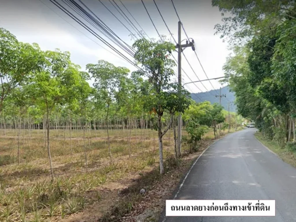 ขายที่ดิน 25 ไร่ ใกล้ รรนานาชาติ ซธัญญะปุระ ตำบลตะเคียน อำเภอถลาง ภูเก็ต