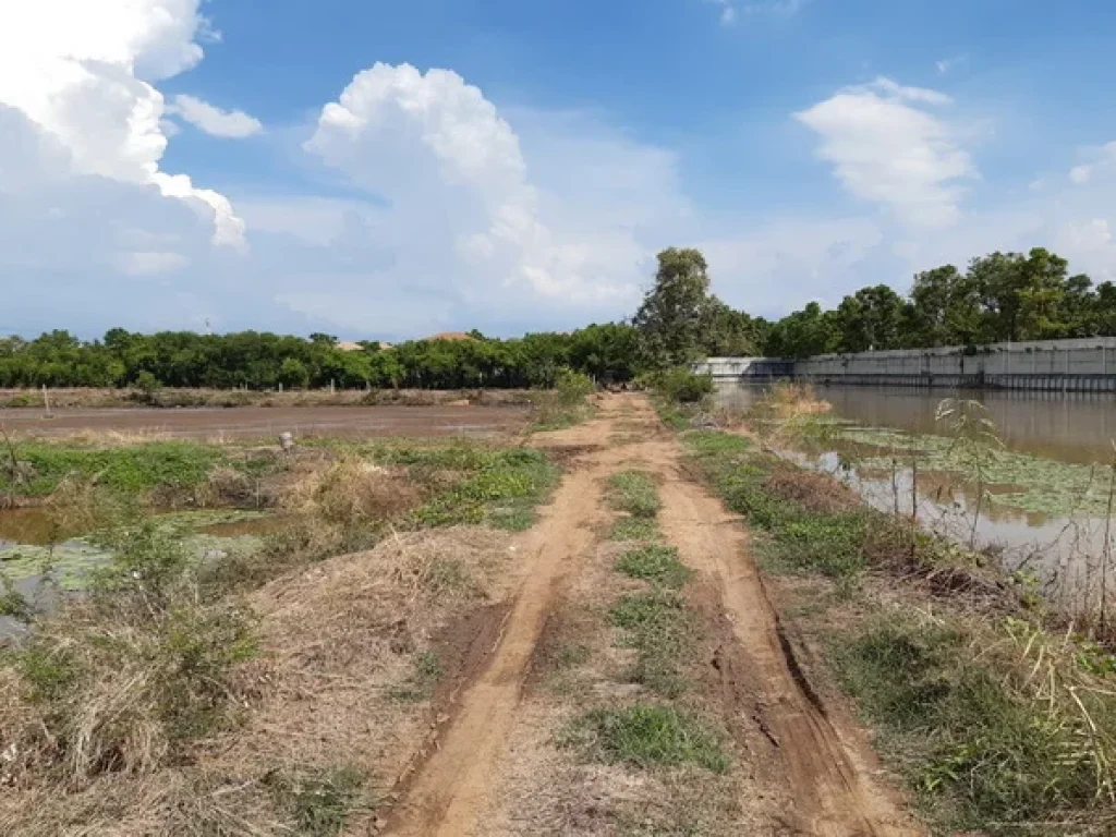 ขายที่ดิน ซอยศาลาธรรมสพน์ 33 ถนนบรมราชชนนี เขตทวีวัฒนา กรุงเทพมหานคร