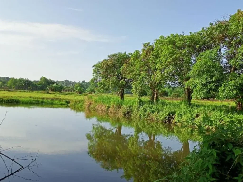 ขายที่ดินติดน้ำ ดอนแก้ว ตรงข้ามกองพันสัตว์ต่างแม่ริม