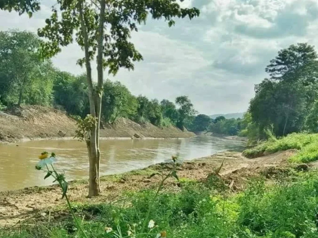 ขายที่ดินวิวดอยติดแม่น้ำปิง เขตแม่ริม ตำบลดอนแก้วเชียงใหม่