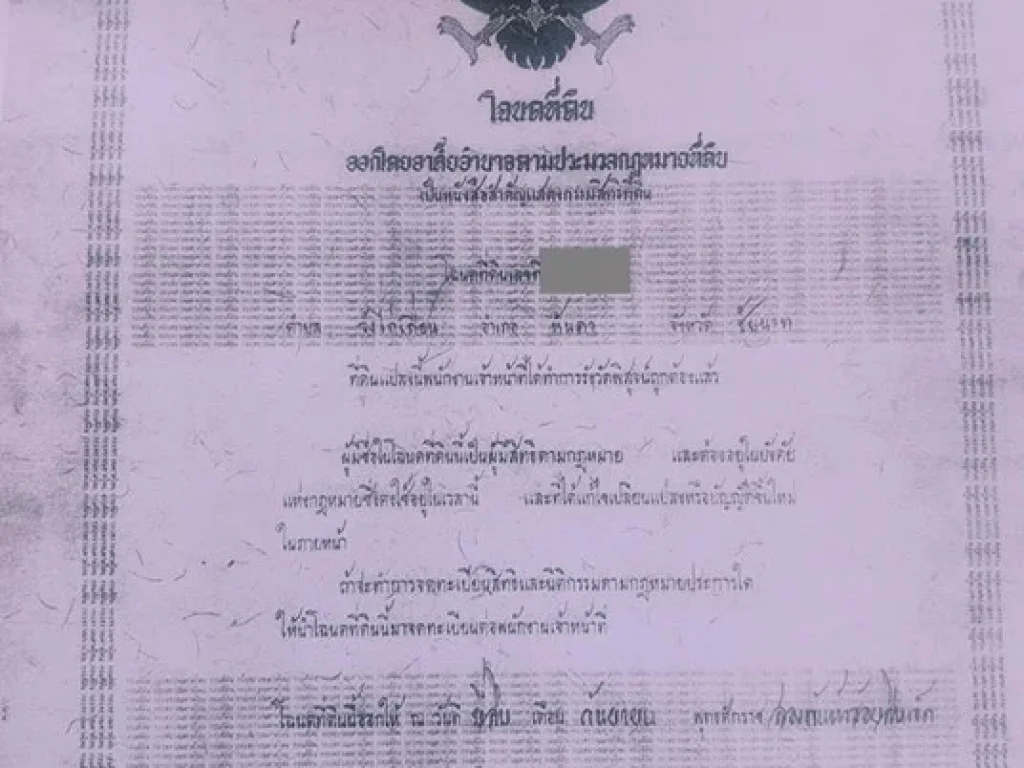 ด่วน ขายสวนมะม่วง ตวังไก่เถื่อน 4 ไร่ 34 ตาราวา ราคาไร่ละ 500000