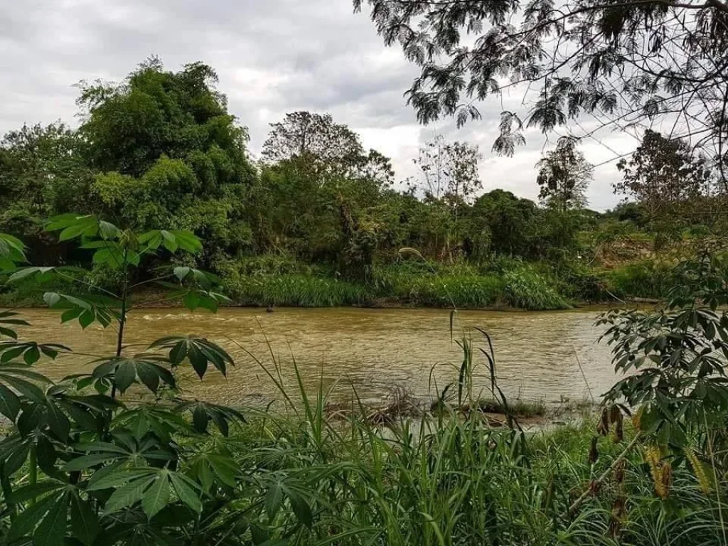 ขายที่ดินติดน้ำ ดอนแก้ว ติดถนนคอนกรีต แม่ริม เชียงใหม่