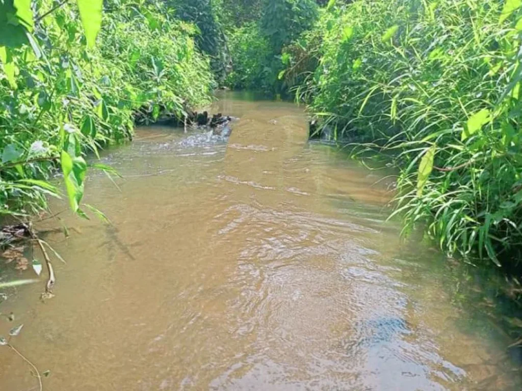 ขายที่ดินติดน้ำ วิวดอย สันป่ายาง แม่แตง เชียงใหม่