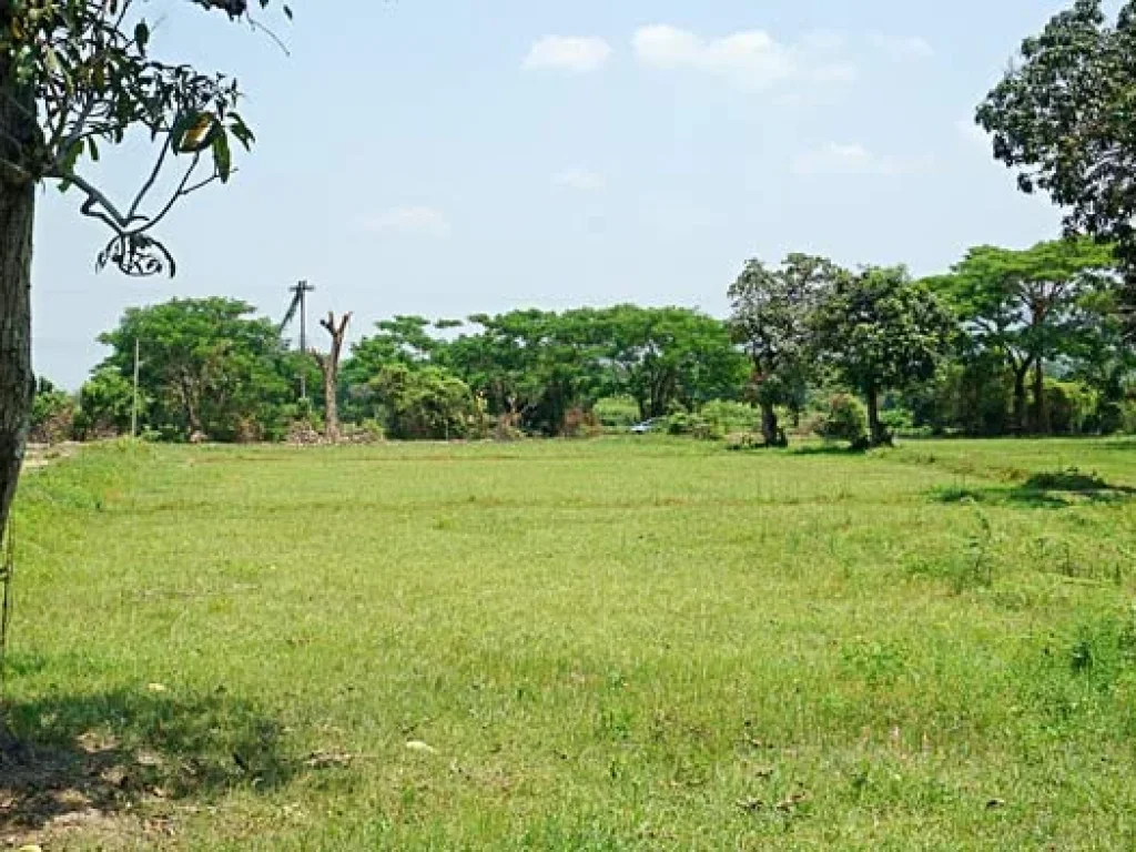 ขายที่ดิน สวนเกษตรสันทราย ตำบลหนองแหย่ง อำเภอสันทราย จังหวัดเชียงใหม่